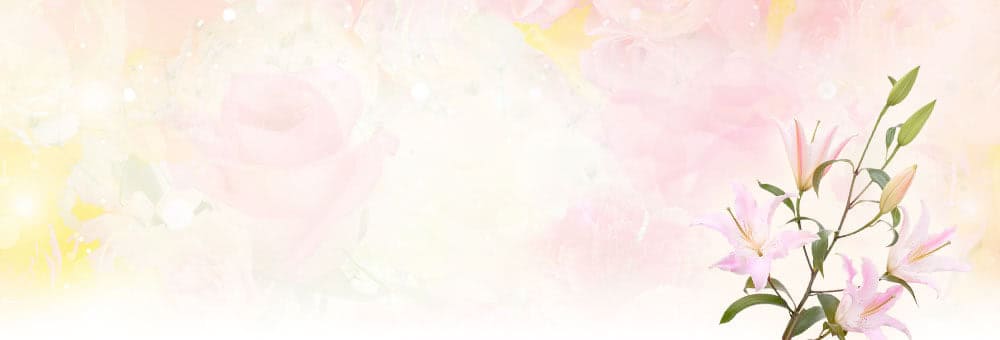 簡単です！シャコバサボテンの栽培方法